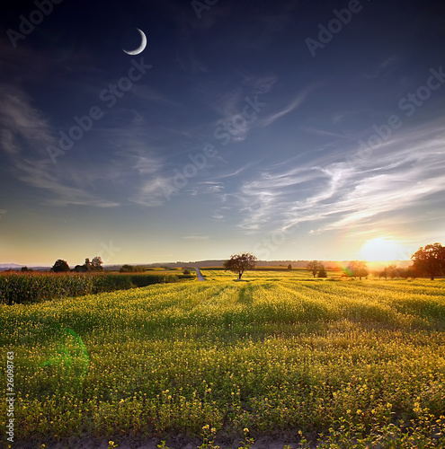 Photo: newDay newDay