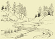 Forest landscape with stream Forest landscape with stream
