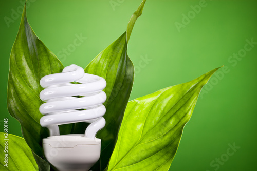 Foto: Ampoule économie d'énergie feuille nature Ampoule économie d'énergie feuille nature