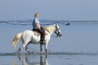 A cheval