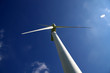 Under the wind power plant