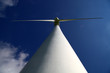 Under the wind power station