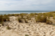 Plage de Lacanau Plage de Lacanau