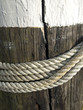 Maritime Details im Kieler Hafen Maritime Details im Kieler Hafen