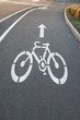 Bicycle road sign painted on the pavement Bicycle road sign painted on the pavement