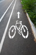 Bicycle road sign painted on the pavement Bicycle road sign painted on the pavement