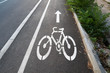 Bicycle road sign painted on the pavement Bicycle road sign painted on the pavement
