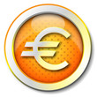 Euro icon Euro icon