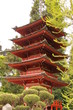 Japanese Tea Garden in San Francisco