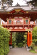 Japanese Tea Garden in San Francisco