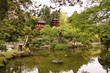 Japanese Tea Garden in San Francisco