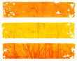Autumn banners