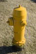 Yellow Fire Hydrant
