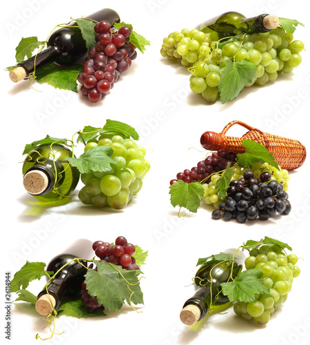 Foto: The best crop of this year The best crop of this year