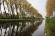Photo: Bruges canal tree reflection Bruges canal tree reflection