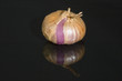 Red onion