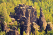 Bielatal - Biela valley 16