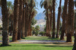 Palm avenue