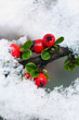 Schnee 3