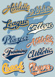 Vector: Athletic department script Athletic department script