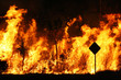 Bush fire