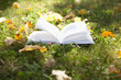 Foto: prato con diario prato con diario