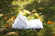 Foto: libro sul prato libro sul prato