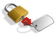 Padlock with house-shape key