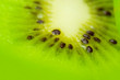 Kiwi close up
