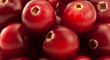 Bunch of vinous cranberries