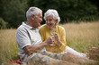 A senior couple having a picnic, drinking champagne