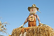 Scarecrow with Sky Background