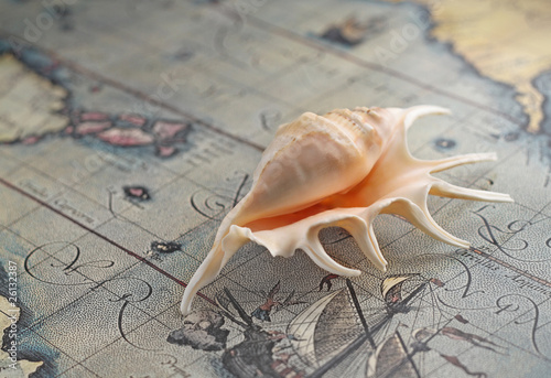 Photo: Marine shell on an old-time map Marine shell on an old-time map