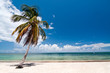 Dreams beach