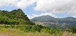 algerie...kabylie profonde
