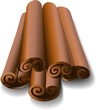 Cannella-Cinnamon-Vector