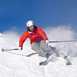 professionell skifahren