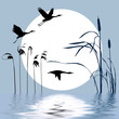 drawing flying birds on background sun drawing flying birds on background sun