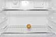 an egg in a refrigerator an egg in a refrigerator