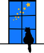 Cat in window