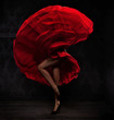 Flamenco dancer Flamenco dancer