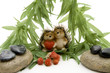 Igel mit Herz und Pflanze Igel mit Herz und Pflanze