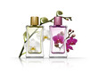 Flacons de Parfum Orchidee