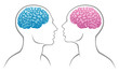 gender brain