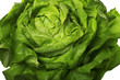 Salat