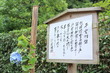 明月院ブルーと平家物語