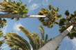 resort, guy, waves,