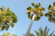 resort, guy, waves,
