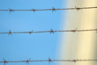 Stachelige Angelegenheit
