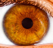 Human eye close up ...